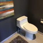 bathroom remodel toilet